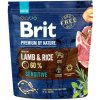 Brit Premium by Nature Sensitive Lamb 1kg