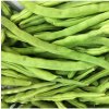 BIO Fazuľa kríčková Maxi - Phaseolus vulgaris - predaj bio semien - 20 ks