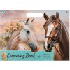 Omaľovánka Kolekcia koní 25 strán + samolepky 26x35,5 cm