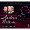 Sherlock Holmes a případ Karel Marx - Audiokniha - Mairowitz Zane David, Preiss Viktor, Kačer Jan, Klepl Bohumil