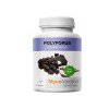 MycoMedica Polyporus PRO 90 kapsúl