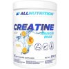 All Nutrition AllNutrition Creatine Muscle Max 500 g - pomaranč