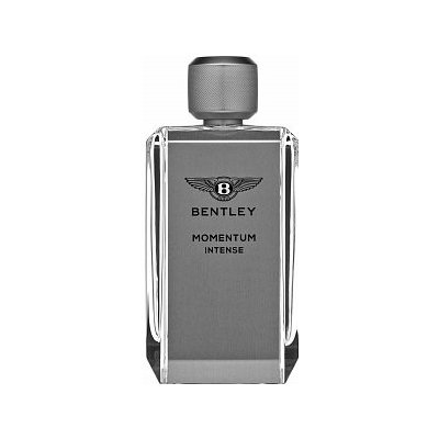 Bentley Momentum Intense parfémovaná voda pre mužov 100 ml
