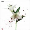 Cult - Hidden City / Digisleeve [CD]