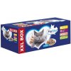 PreVital Cat kapsička - mix v omáčke 48x100g