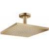 Hansgrohe Raindance 2625014