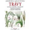 Trávy - Jaromír Šikula, Václav Větvička