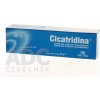 CICATRIDINA masť 1x30 g