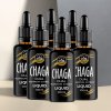 RoyalChaga Čaga Tekutý Vodný Extrakt 100ml 6-pack