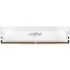 Crucial Pro OC/DDR5/16GB/6400MHz/CL38/1x16GB/White (CP16G64C38U5W)