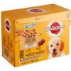 Pedigree kapsa Junior masový výběr,rýže v želé 12x100g