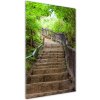 Vertikálny foto obraz sklenený Schody v lese 50x100 cm