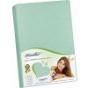 Bellatex Prestieradlo Jersey svetlo zelené 100x200