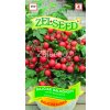 ZELSEED Rajčiak balkónový BALKONZUBER