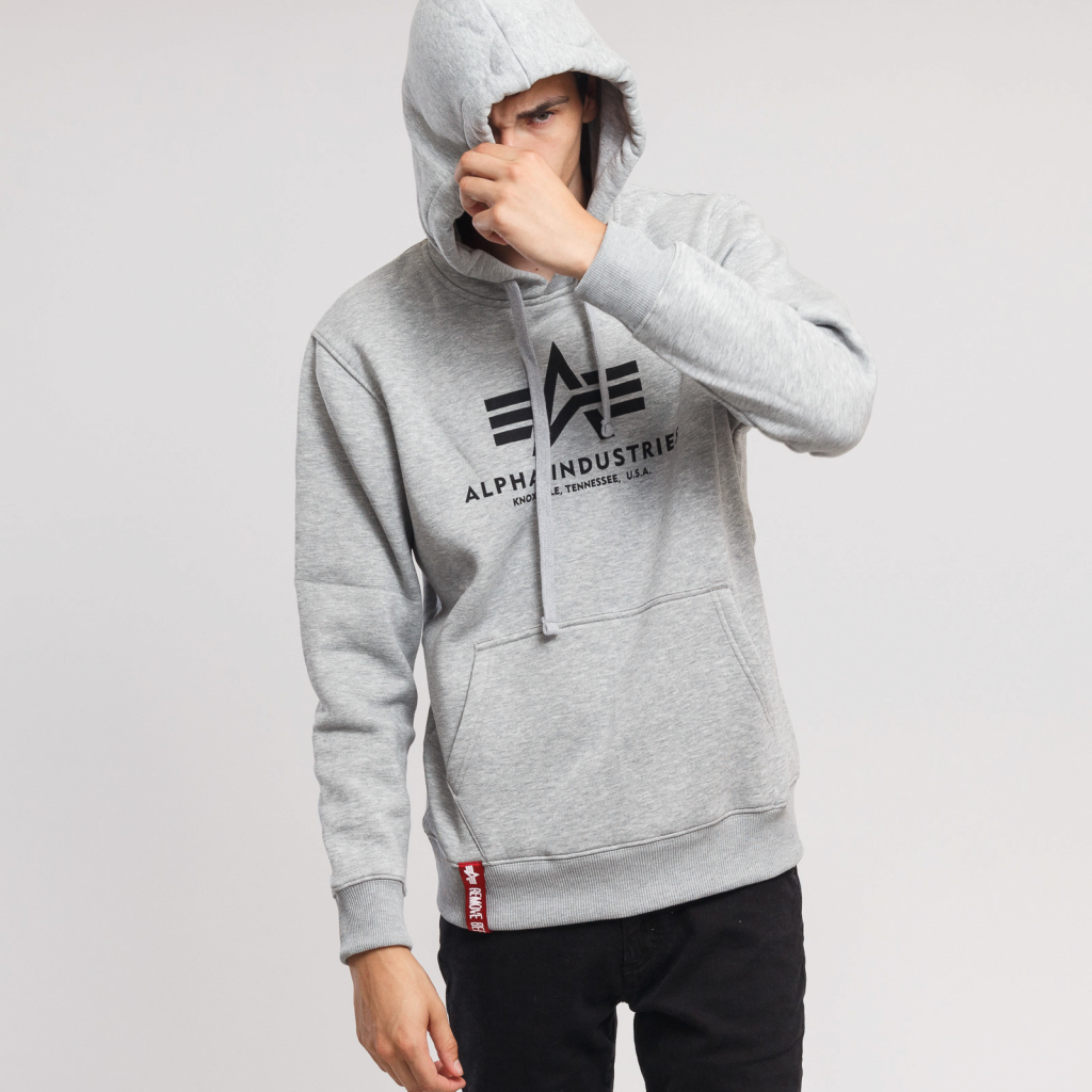 Alpha Industries Basic Hoody grey