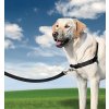 PetSafe Postroj EasyWalk , čierny M Farba: čierne