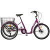 Liberty Trojkolka COMFY 6spd. Disk s diferenciálem, 2025 fialová