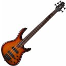 Basgitara Cort B5