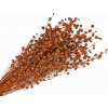 Sušený ľan - kytica cca 100g - tmavý oranžový