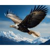 Diamantový obraz Letiaci orol