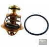 Regulus Termočlen k ventilu TSV 3B a 5B - 60 °C 16096
