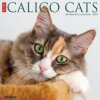 Calico Cats 2026 12 X 12 Wall Calendar