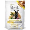 Brit Animals Immune Stick for Rodents 80g