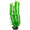 Tetra - Hygrophila 23cm-rastlina plast.M