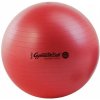 Ledragomma Pezzo Gymball MAX 53 cm