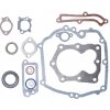 Súprava tesnení pre motory Briggs & Stratton Quantum výkon 5,0 PS (OEM 493263)
