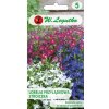 Semená lobelky Kapská lobelka, Zmes farieb 0,3 g