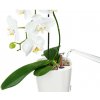Lechuza Samozavlažovací kvetináč DELTINI biela lesklá, 15 x 15 x 19 cm