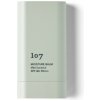 107 Beauty Moisture Balm Mild Sunstick SPF 50+ PA++++ (18g)