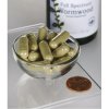 Swanson artemisinín 90 kapsúl x 425mg artemisia annua