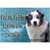 Pozorpes.sk, výstražná tabuľka (Austrálsky ovčiak)