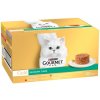 Gourmet Gold Savoury Cake hovädzie kuracie krůta jahňacie 48 x 85 g