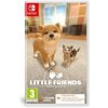 Little Friends: Dogs and Cats (Code in a Box) (SWITCH)