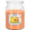 Bispol Aura Maxi Tropical Fruits 500 g