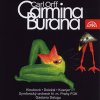 Symfonický orchestr hl.m. Prahy, Gaetano Delogu: Orff: Carmina Burana - CD