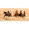 AG Design fototapeta FTN H 2748 Horses 202 x 90 cm (VLIESOVÁ FOTOTAPETA 1-DIELNA)