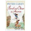 Parrot and Olivier in America - Peter Carey