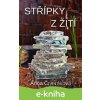E-kniha Střípky z žití - Anna Čtveráková