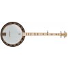 Deering Goodtime Special 5-String with Resonator