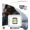 Kingston Canvas SeIect Plus Secure Digital SDXC UHS-I 256GB | Class 10, rýchlosť 100/85 MB/s (SDS2/256GB)