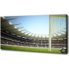 Foto obraz na plátne Štadión Francúzko 100x50 cm