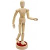 Drevený model ľudského tela s magnetmi - unisex 19.5 cm