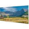 Obraz plexi Top box chat 100x50 cm