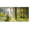 Foto obraz sklo tvrzené les slnko 100x50 cm