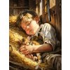 Norimpex diamantové malování Spící chlapec 30 x 40cm