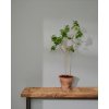 WALL PAINT Chicago Grey - 2,5 L